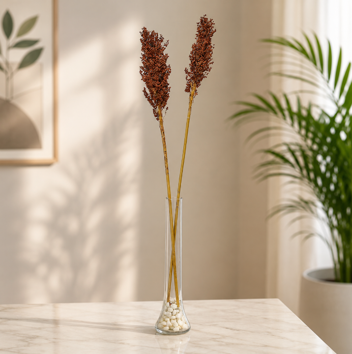 Natural Dried Sorghum Flower Single Stem